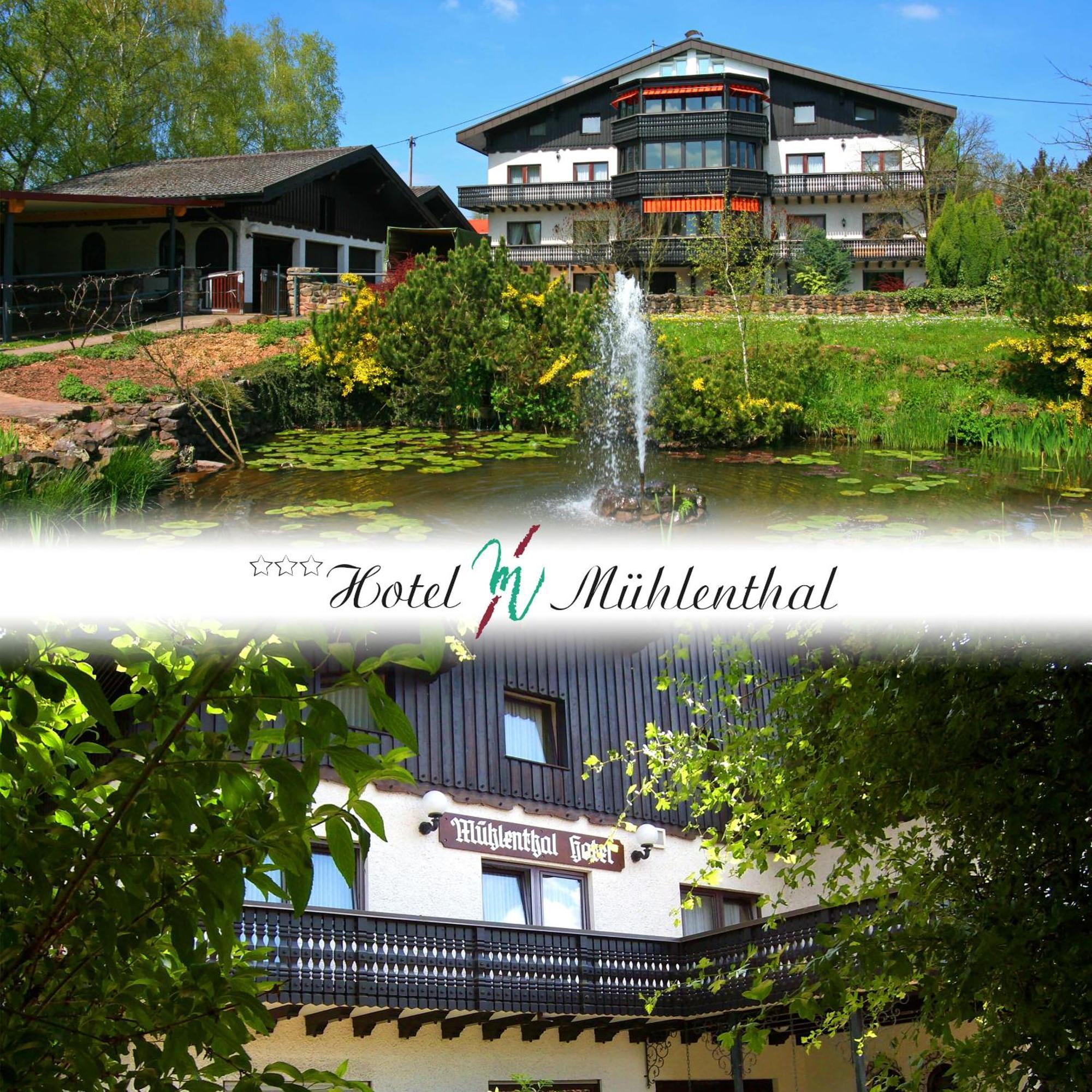 Schwalbach Hotel Muehlenthal Gmbh מראה חיצוני תמונה