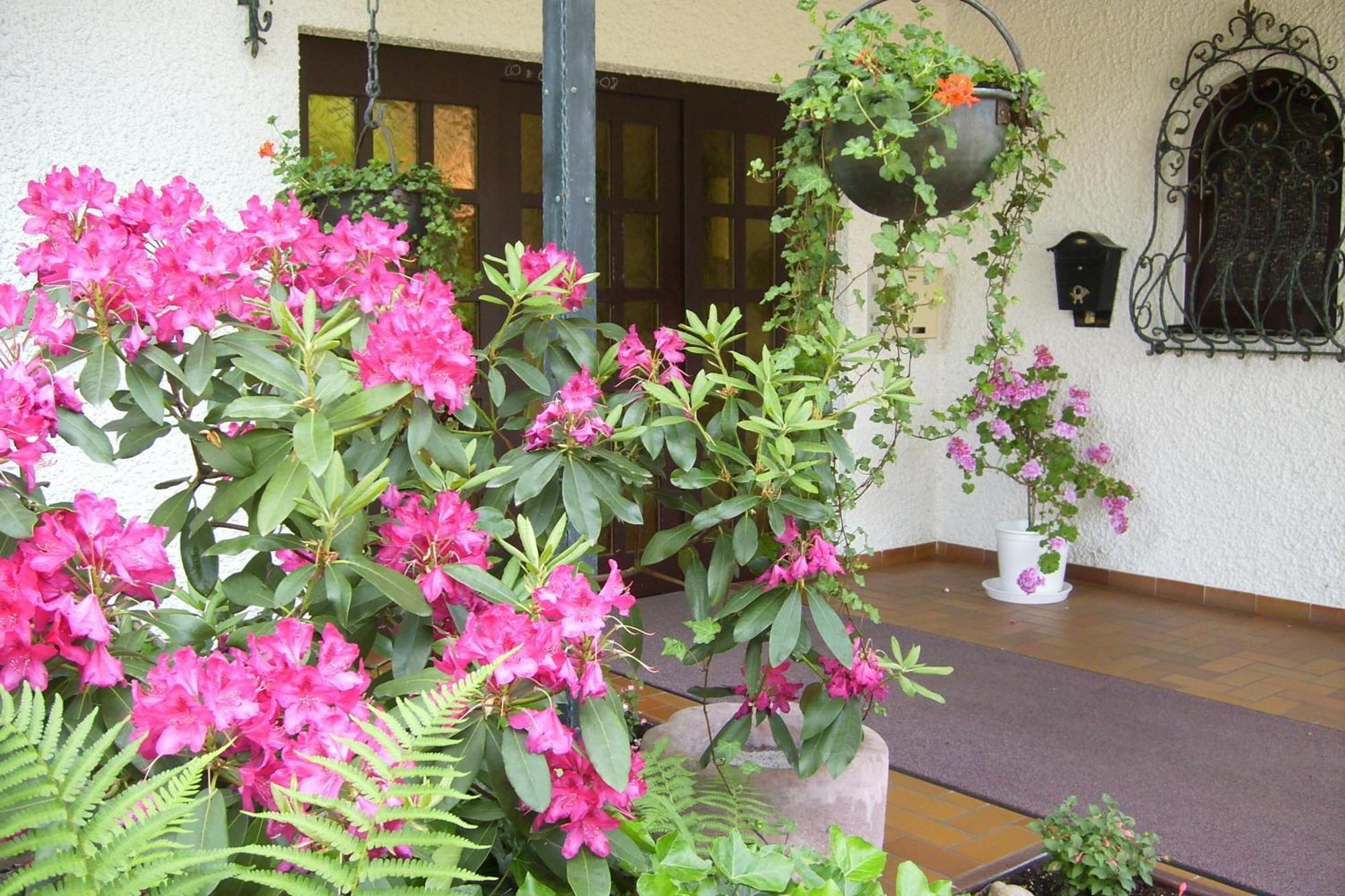 Schwalbach Hotel Muehlenthal Gmbh מראה חיצוני תמונה